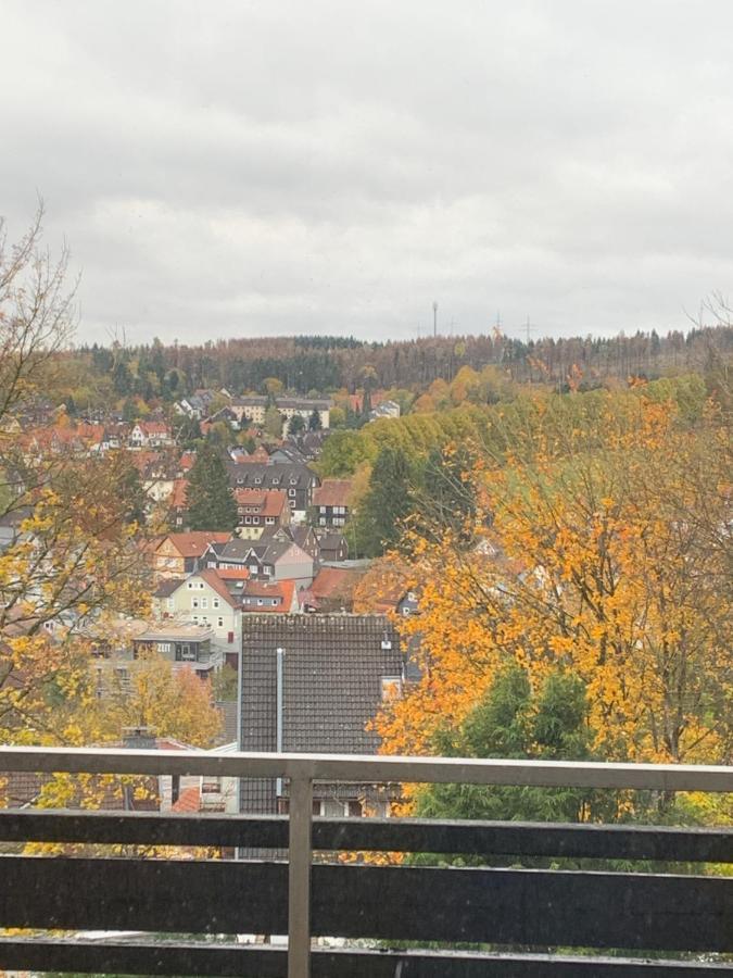 Harz 21 Apartment Braunlage Bagian luar foto