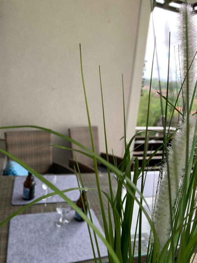 Harz 21 Apartment Braunlage Bagian luar foto